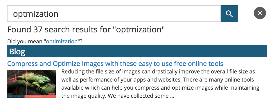 spell checker Site Search 360
